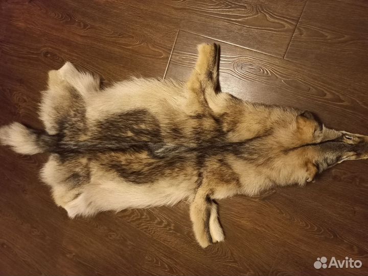 Шкура волка