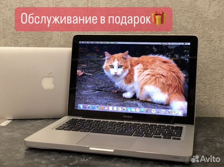 Купить ноутбук Apple MacBook 13 4/370 SSD