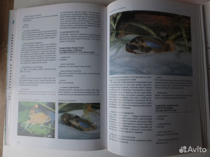 Книга Эстер Верхуф-Верхаллен: Аквариумные рыбки