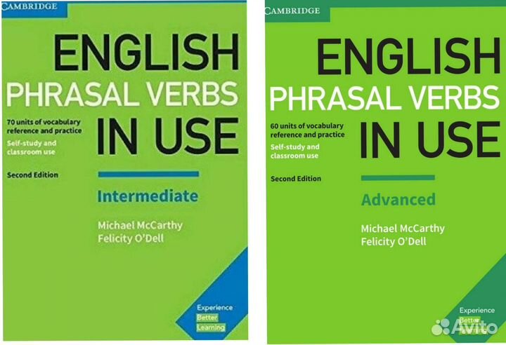 English Phrasal Verbs In Use Inter, Advanced