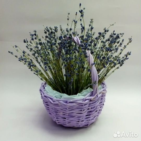Букет из лаванды