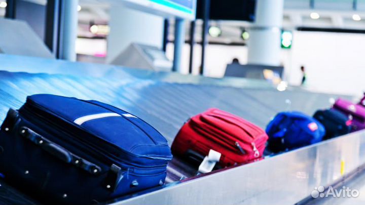 Разнорабочие в багажный терминал/Без опыта