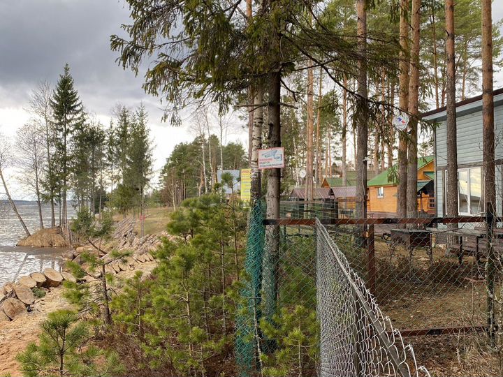 Дом 54 м² на участке 50 сот.