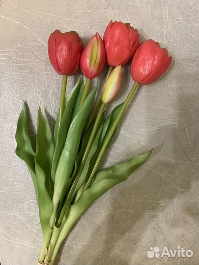 Тюльпаны интерьерные (букет 5 шт.)