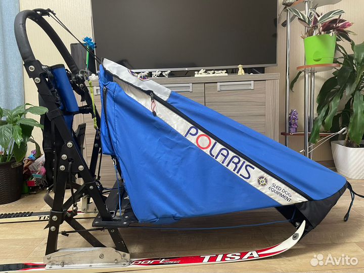 Нарты для собак Polaris