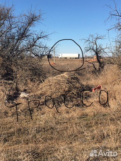 Аренда под питомник растений