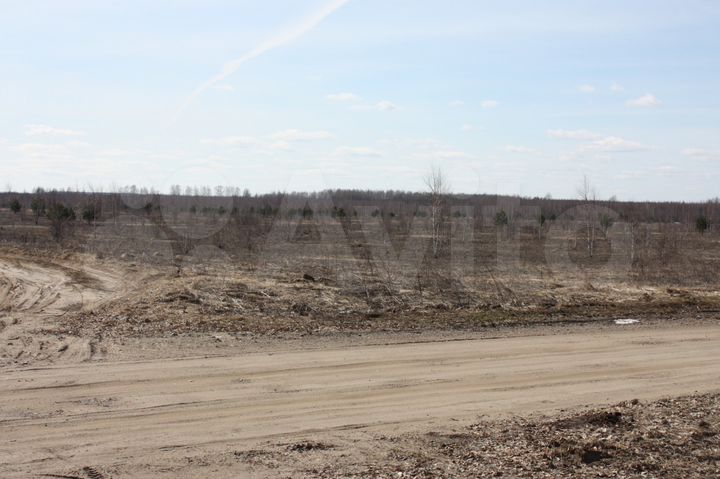 Участок 4 га (СНТ, ДНП)