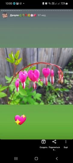 Дом 15 м² на участке 6 сот.