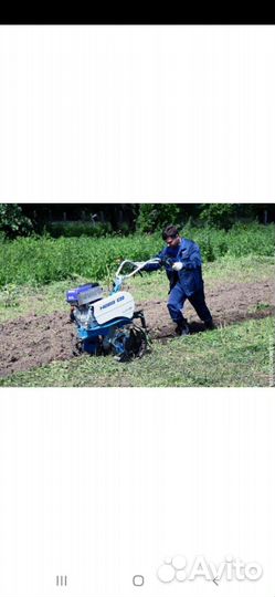 Вспошу огород мотоблоком