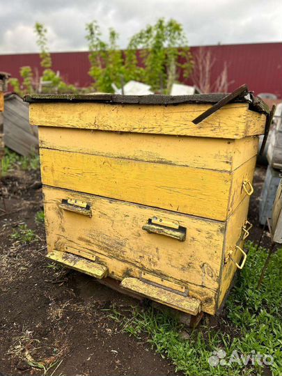 Улей для пчел