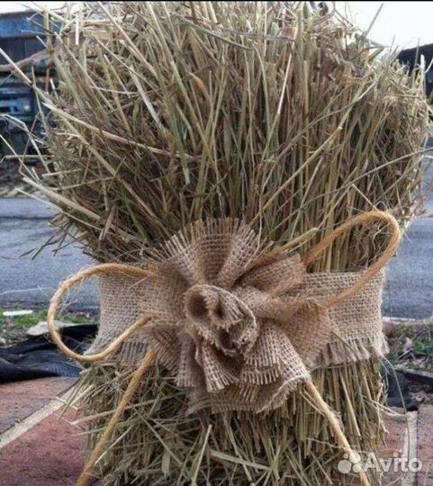 Набор сухоцвета для декора