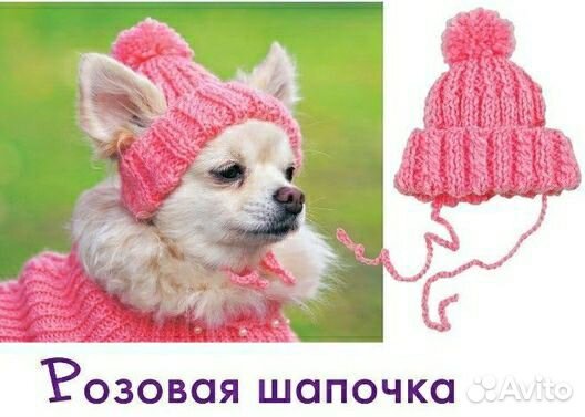 Шапочки для любимых питомцев