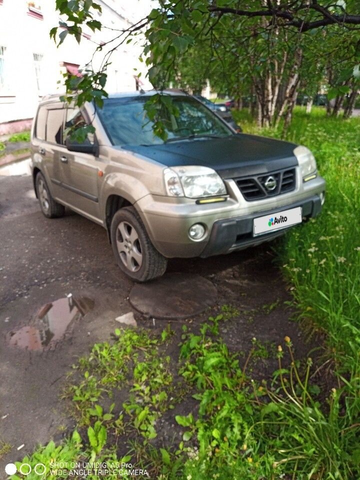 Nissan X-Trail: фото владельца