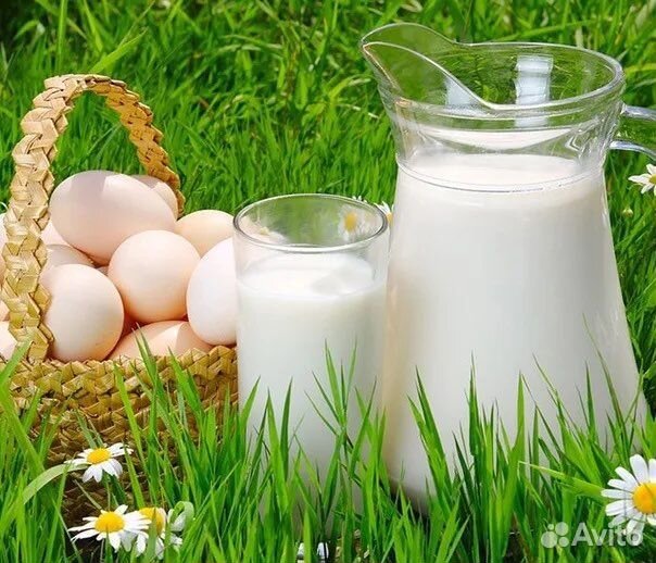 Молоко козье, домашние куриные яйца