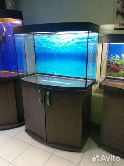 Аквариум 200 полукруг, свет, фон, биофильтр, тумба