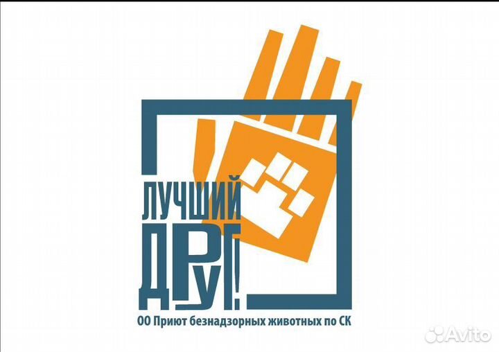 Сотрудник по уходу за собаками