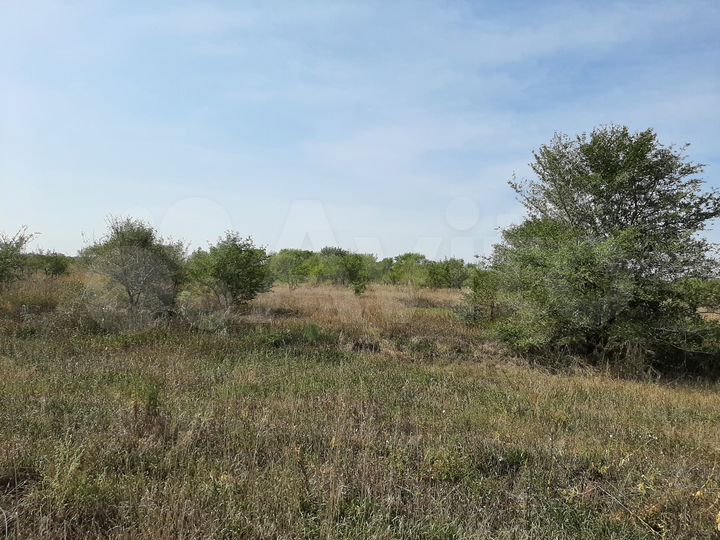 Участок 10 сот. (СНТ, ДНП)