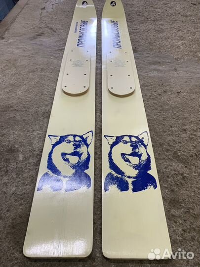 Лыжи для охоты