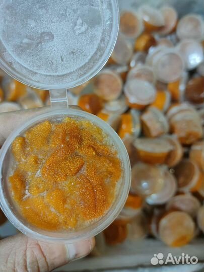 Икра морского ежа 50грамм