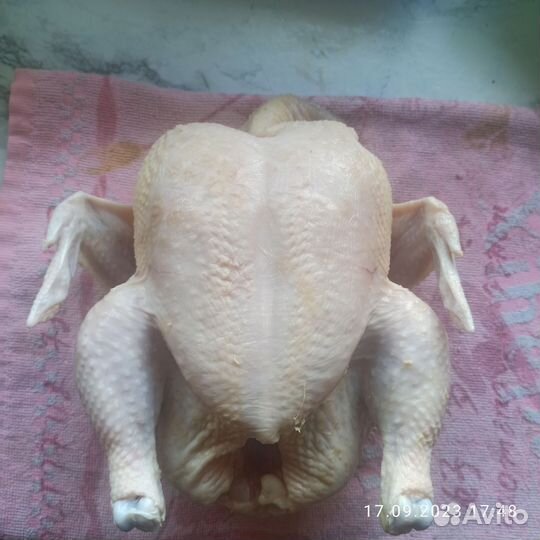 Цыплята бройлеры мясо