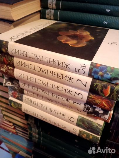 Ильф и петров собрание