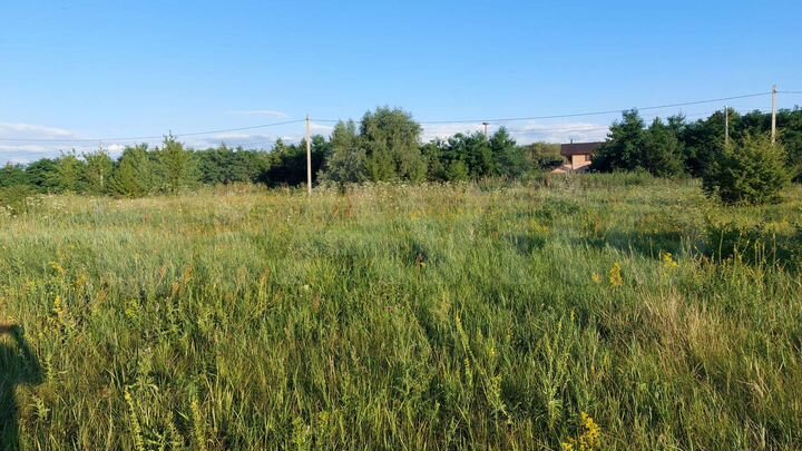 Участок 12 сот. (ИЖС)