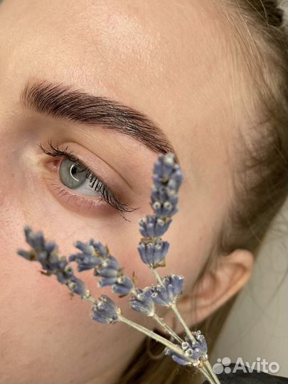 Обучение мастера бровиста