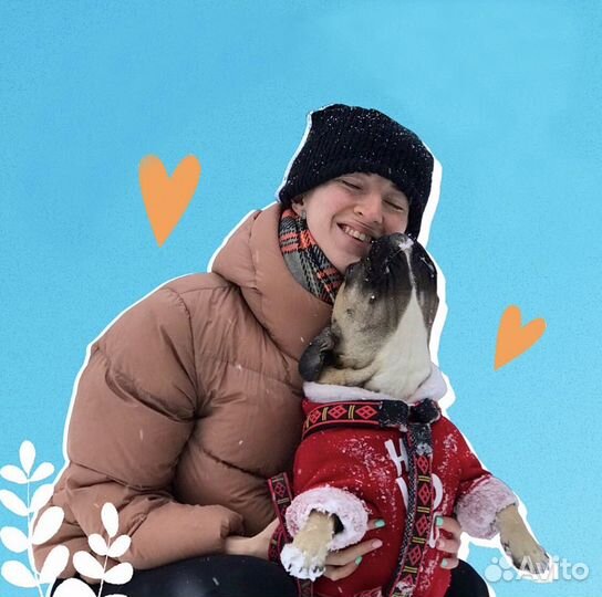 Зооняня/ситтер/выгул/передержка животных