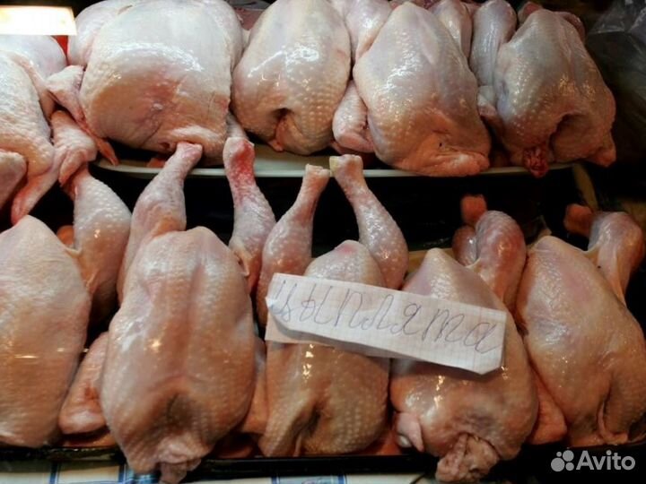 Куры фермерские