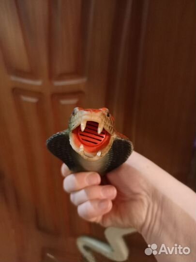 Королевская змея