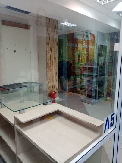 Торговая площадь, 19 м²