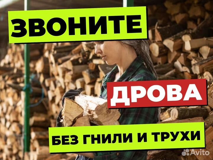 Дрова из березы