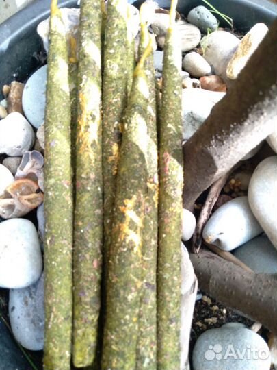 Свеча с травами