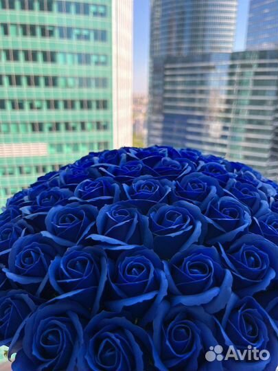 Синие розы в наличии. Букет 101, 81 мыльная роза