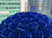 Синие розы в наличии букет 101,81, 71 мыльная роза