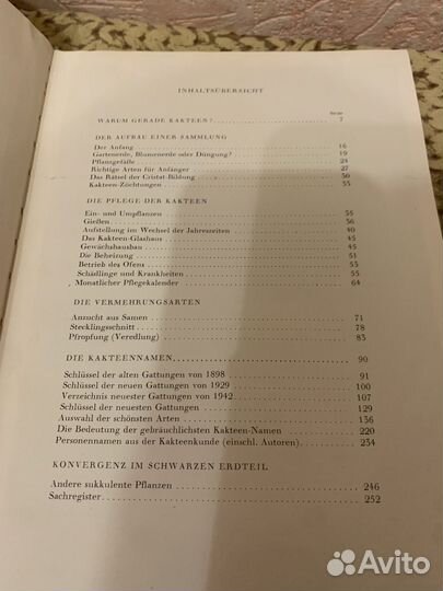 Вальтер хаге кактусы 1957