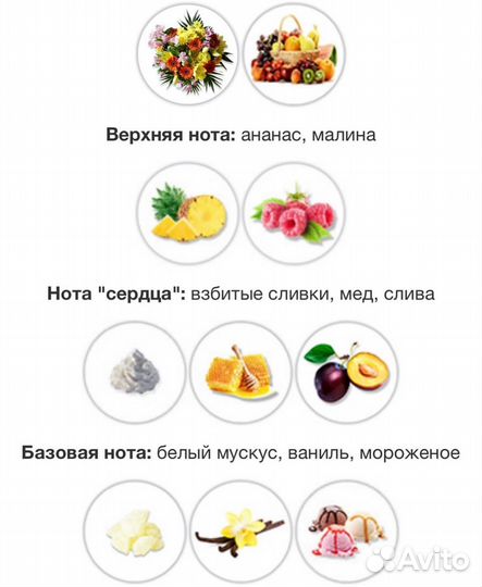 Attar collection hayati