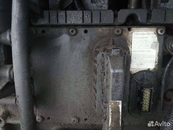 Эбу на Мерседес Варио