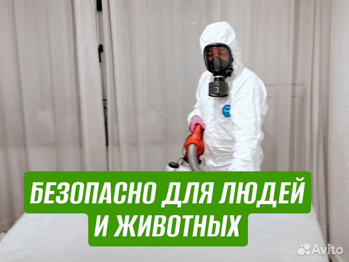 Уничтожение насекомых тараканов