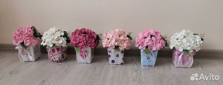 Гортензия мыльная