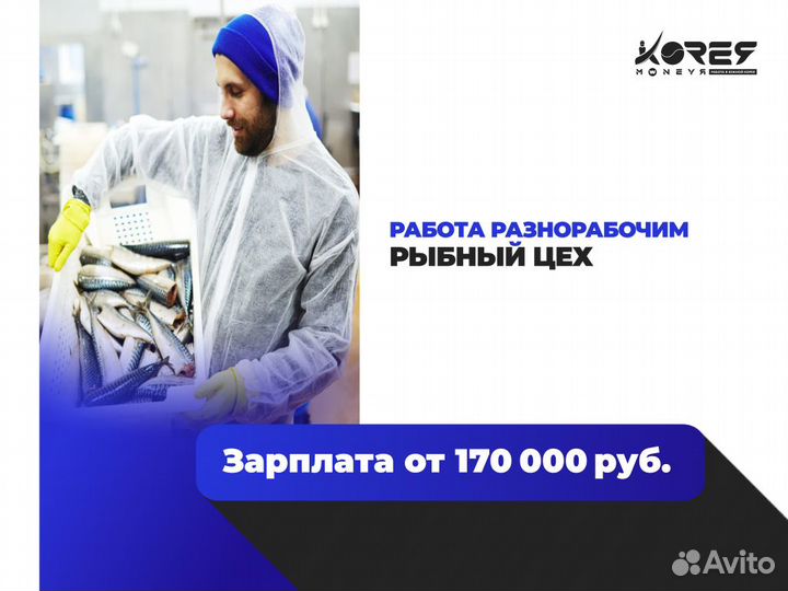 Работа в Южной Корее на фасовке и сортировке рыбы