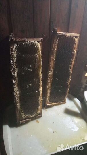 Мёд с личной пасеки