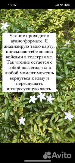 Разбор анализ карты human design