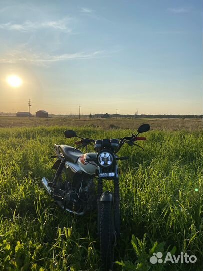 Продаю мопед альфа vmc 125