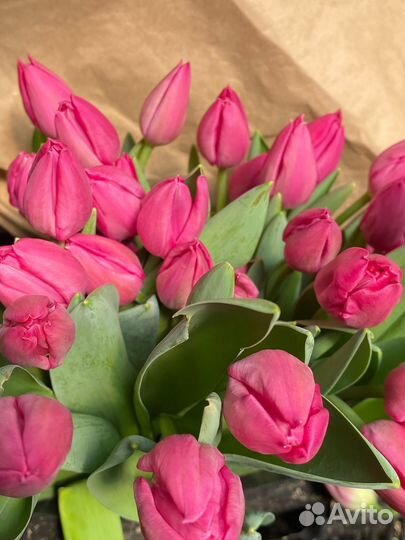 Тюльпаны к 8 марта