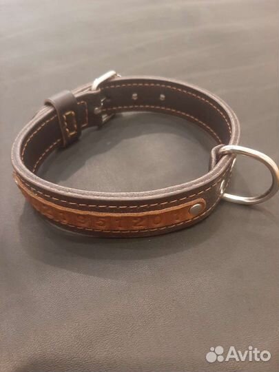 Ошейник с номером телефона