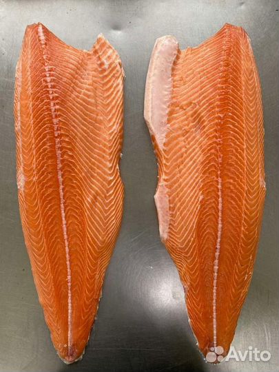 Филе лосось, форель от производителя