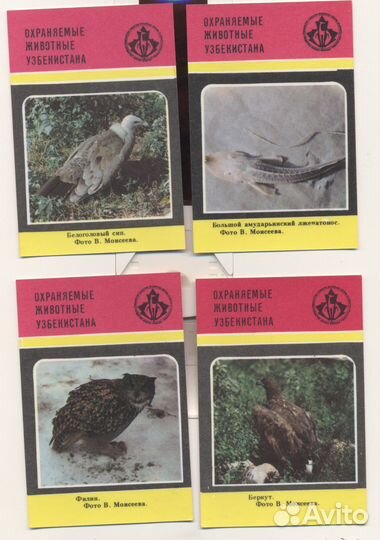 Календарики 