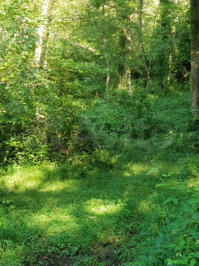 Участок 4,7 сот. (СНТ, ДНП)