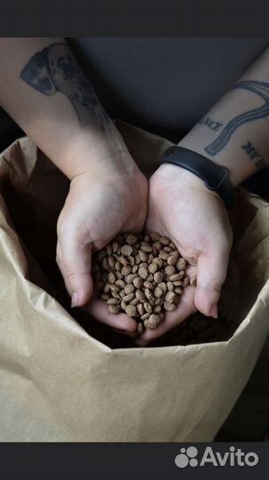 Корм для собак